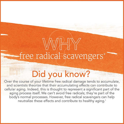 Now C-1000 Vitamin C With Rose Hips Tablets, Pack of 30's