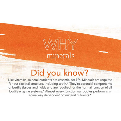 Now Magnesium 400mg Capsules, Pack of 180's